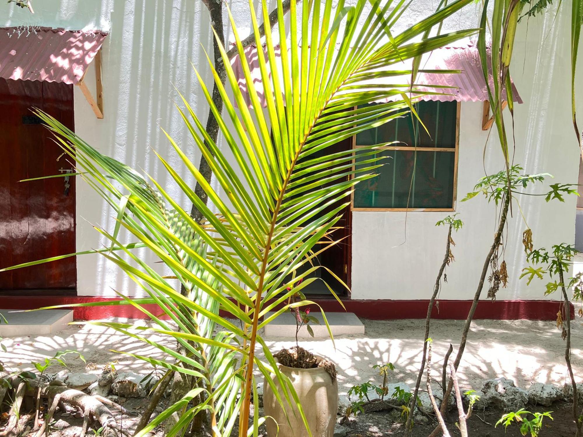 Mount Zion Lodge Michamvi Chambre photo